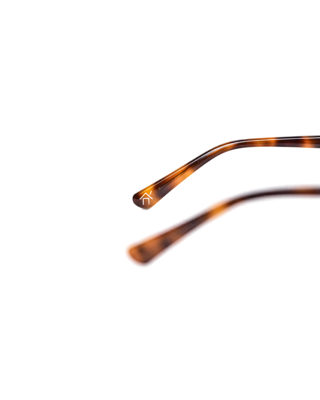 Cendres Frames, Tortoise 5