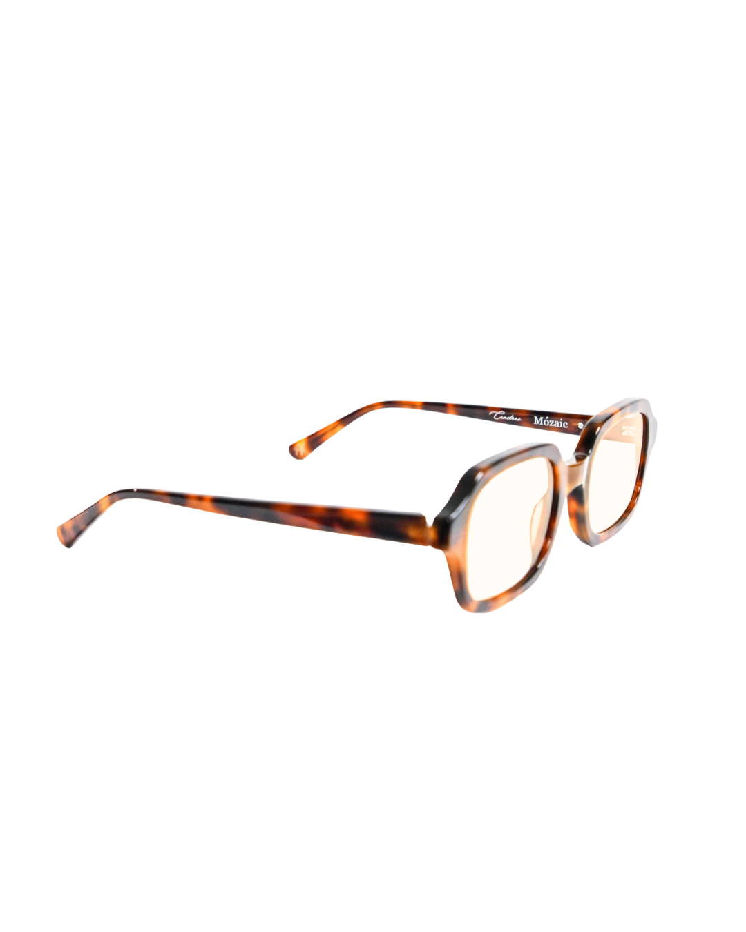 Cendres Frames, Tortoise 2