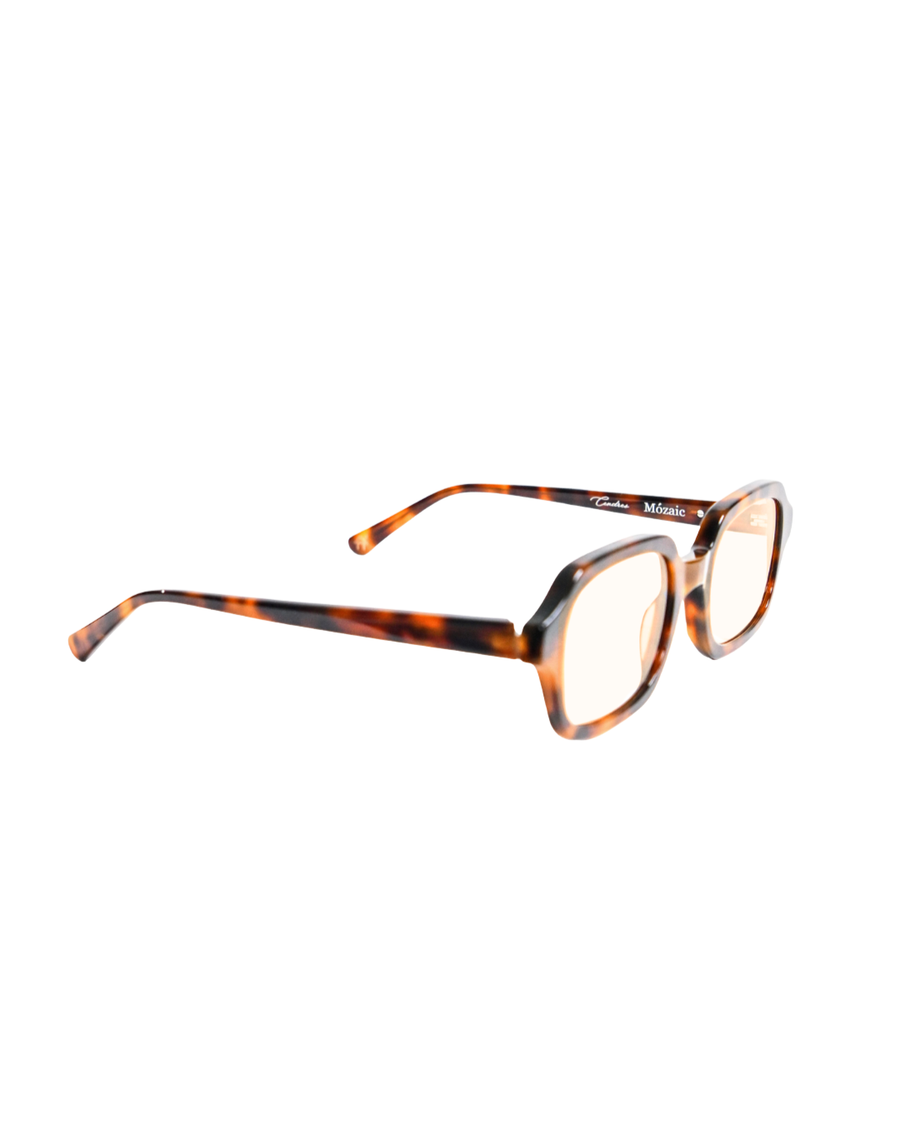 Cendres Frames, Tortoise 2