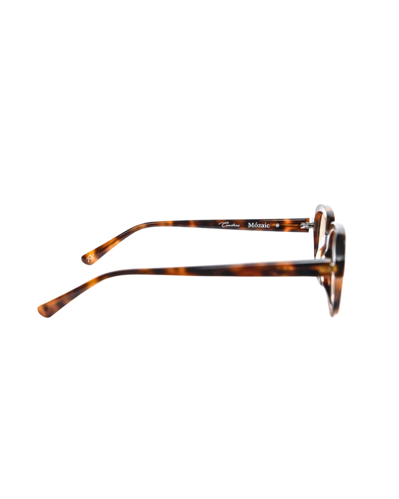 Cendres Frames, Tortoise